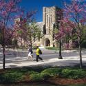 Flowering spring trees outside Anabel Taylor Chapel